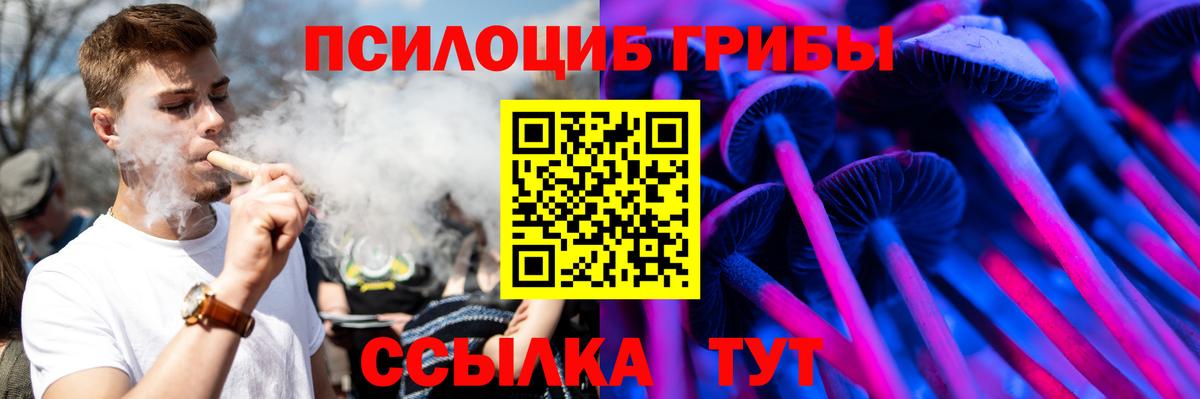 что такое   Галлюциногенные грибы GOLDEN TEACHER  Вход с VPN  Торжок 